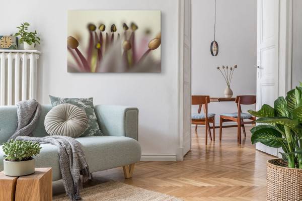 Paul Sinus Art 120x80cm Wandbild auf Leinwand Makrofotografie Blume Blüte Kunstvoll Fotokunst Kostenloser Versand