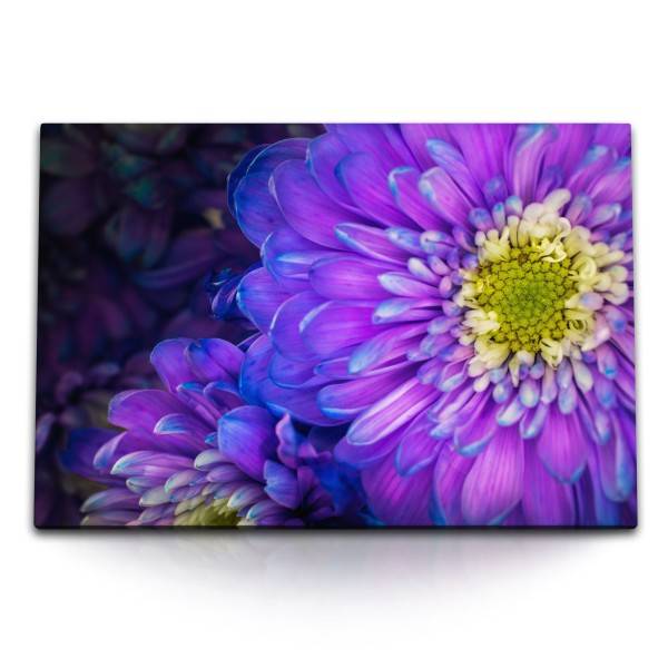 Paul Sinus Art 120x80cm Wandbild auf Leinwand Violette Blumen Blüten Makrofotografie Natur
