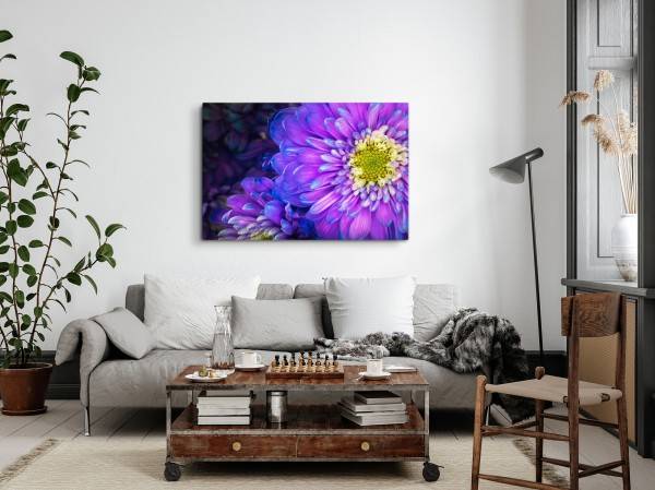 Paul Sinus Art 120x80cm Wandbild auf Leinwand Violette Blumen Blüten Makrofotografie Natur Fabrikpreis