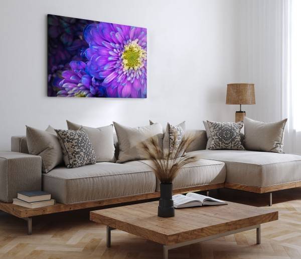 Paul Sinus Art 120x80cm Wandbild auf Leinwand Violette Blumen Blüten Makrofotografie Natur Fabrikpreis