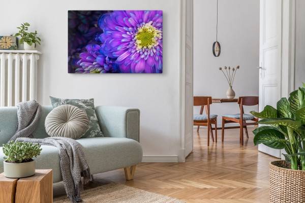 Paul Sinus Art 120x80cm Wandbild auf Leinwand Violette Blumen Blüten Makrofotografie Natur Fabrikpreis