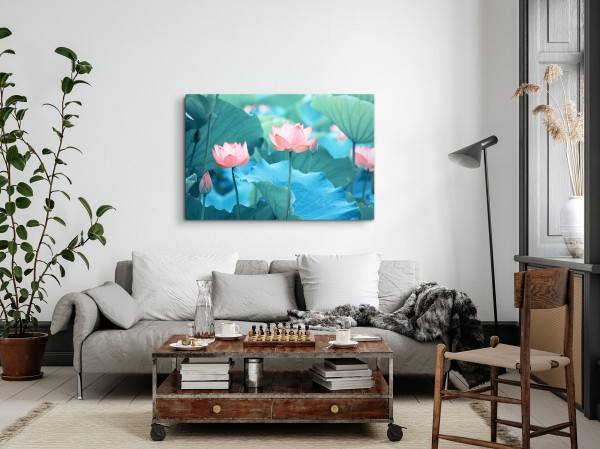 Paul Sinus Art 120x80cm Wandbild auf Leinwand Lotus Blumen rosa Blüten Wasserblume Asien Natur Versandkostenfrei