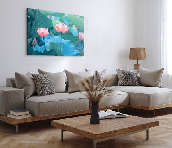Paul Sinus Art 120x80cm Wandbild auf Leinwand Lotus Blumen rosa Blüten Wasserblume Asien Natur Versandkostenfrei