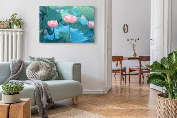 Paul Sinus Art 120x80cm Wandbild auf Leinwand Lotus Blumen rosa Blüten Wasserblume Asien Natur Versandkostenfrei
