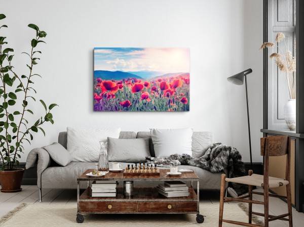 Paul Sinus Art 120x80cm Wandbild auf Leinwand Mohnblumen Feld Wildlumen rote Blüten Natur Exklusivangebot