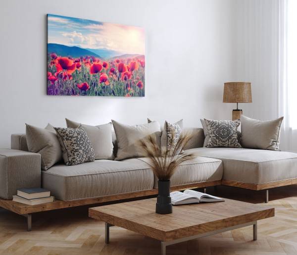 Paul Sinus Art 120x80cm Wandbild auf Leinwand Mohnblumen Feld Wildlumen rote Blüten Natur Exklusivangebot