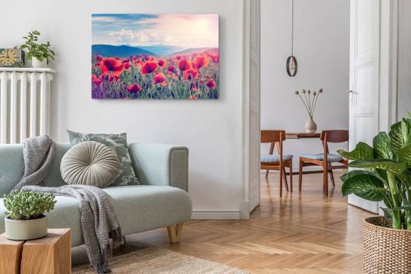 Paul Sinus Art 120x80cm Wandbild auf Leinwand Mohnblumen Feld Wildlumen rote Blüten Natur Exklusivangebot