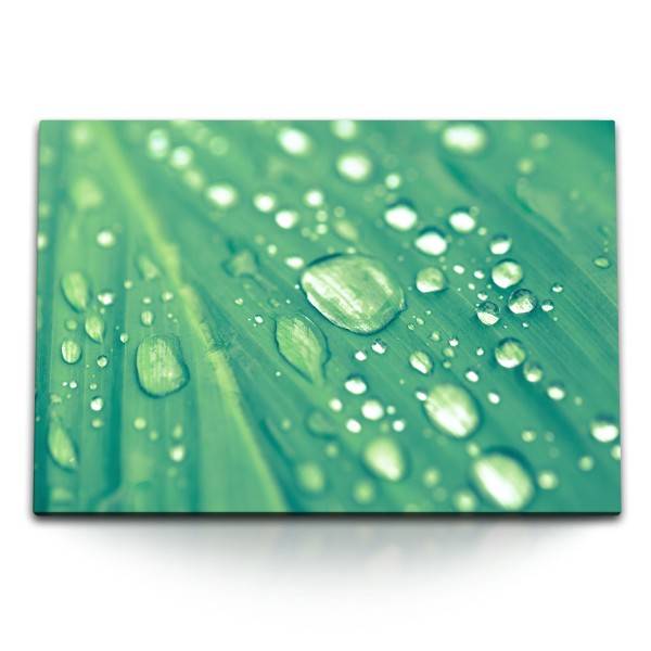 Paul Sinus Art 120x80cm Wandbild auf Leinwand Makrofotografie Regentropfen Grün Blatt Pflanze