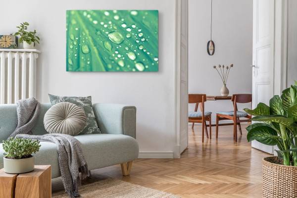 Paul Sinus Art 120x80cm Wandbild auf Leinwand Makrofotografie Regentropfen Grün Blatt Pflanze Preisnachlass