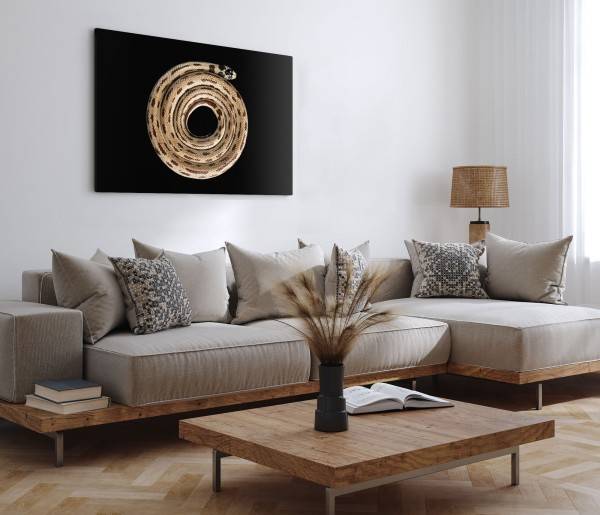 Paul Sinus Art 120x80cm Wandbild auf Leinwand Weiße Kettennatter Schlange schwarzer Hintergrund Tierfotografie Cyber Monday