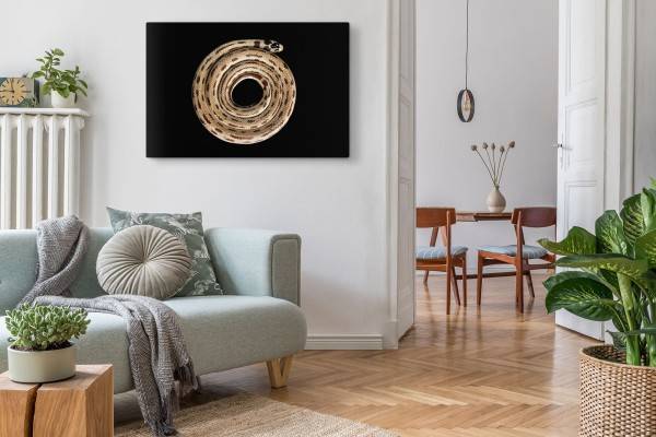 Paul Sinus Art 120x80cm Wandbild auf Leinwand Weiße Kettennatter Schlange schwarzer Hintergrund Tierfotografie Cyber Monday
