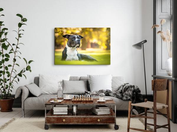 Paul Sinus Art 120x80cm Wandbild auf Leinwand American Staffordshire Terrier Hund Park Grün Muttertagsangebot