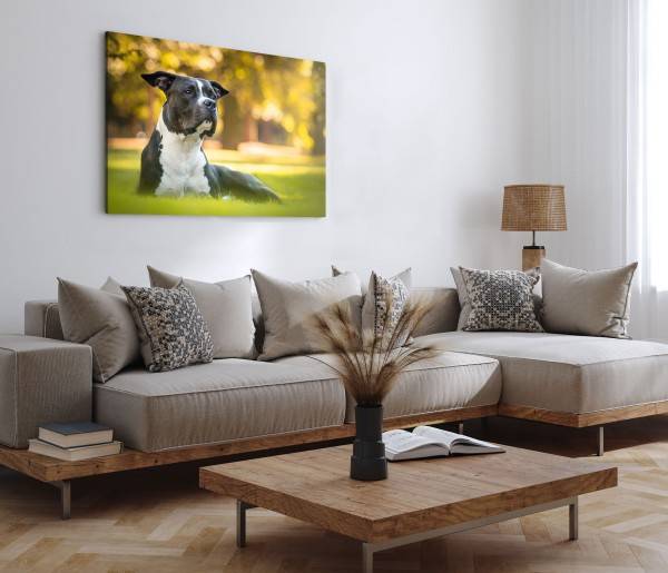 Paul Sinus Art 120x80cm Wandbild auf Leinwand American Staffordshire Terrier Hund Park Grün Muttertagsangebot