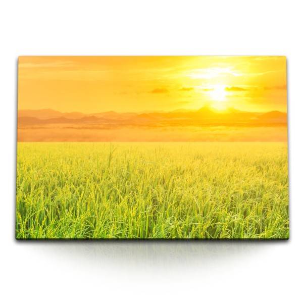 Paul Sinus Art 120x80cm Wandbild auf Leinwand Weizen Weizenfeld Sommer Sonne Sonnenuntergang