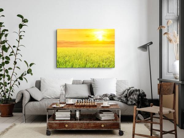 Paul Sinus Art 120x80cm Wandbild auf Leinwand Weizen Weizenfeld Sommer Sonne Sonnenuntergang Lagerräumung