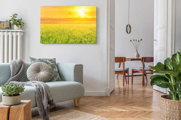 Paul Sinus Art 120x80cm Wandbild auf Leinwand Weizen Weizenfeld Sommer Sonne Sonnenuntergang Lagerräumung