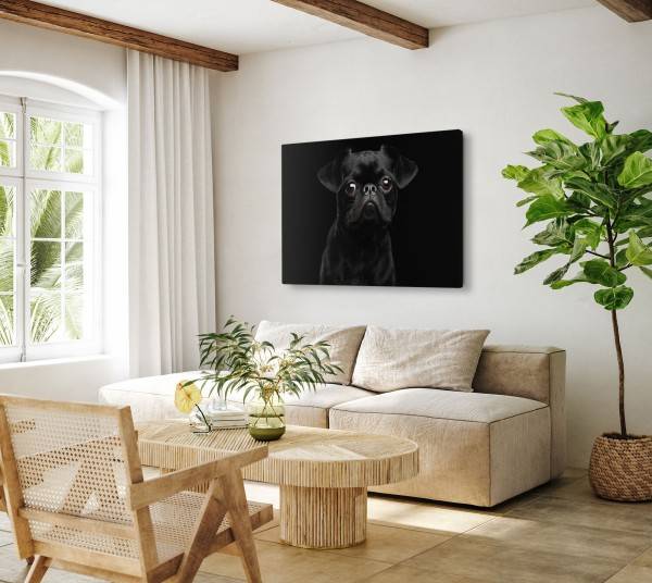 Paul Sinus Art 120x80cm Wandbild auf Leinwand Kleiner schwarzer Mops Hund Welpe Tierfotografie Top Angebot