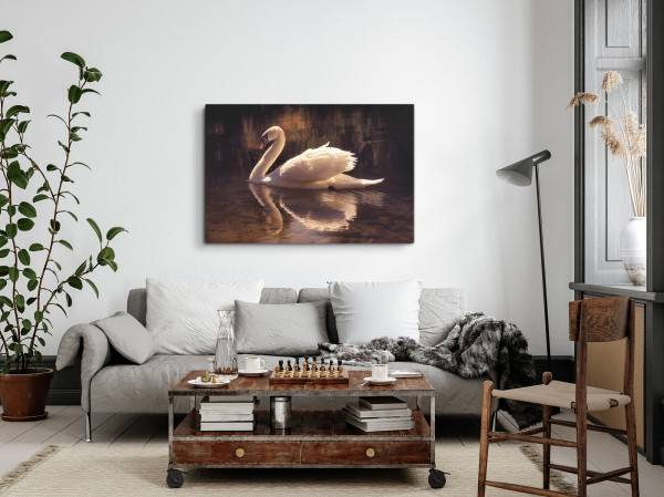 Paul Sinus Art 120x80cm Wandbild auf Leinwand Weißer Schwan See Natur Vogel Tierfotografie Neueste Mode