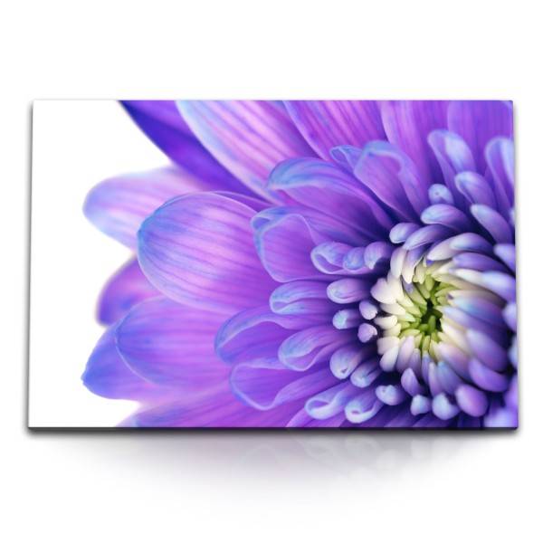 Paul Sinus Art 120x80cm Wandbild auf Leinwand Blume Blüte Violett Kunstvoll Makrofotografie