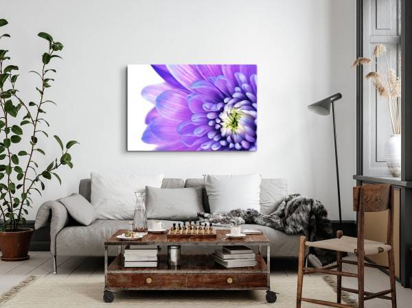 Paul Sinus Art 120x80cm Wandbild auf Leinwand Blume Blüte Violett Kunstvoll Makrofotografie Online Outlet