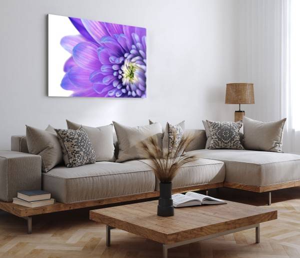 Paul Sinus Art 120x80cm Wandbild auf Leinwand Blume Blüte Violett Kunstvoll Makrofotografie Online Outlet