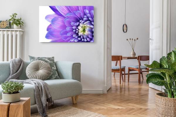 Paul Sinus Art 120x80cm Wandbild auf Leinwand Blume Blüte Violett Kunstvoll Makrofotografie Online Outlet
