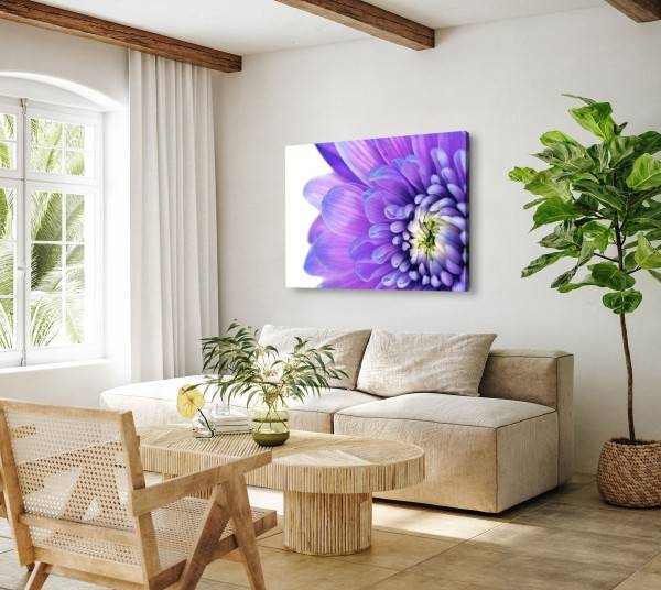 Paul Sinus Art 120x80cm Wandbild auf Leinwand Blume Blüte Violett Kunstvoll Makrofotografie Online Outlet