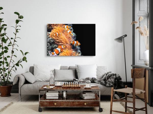 Paul Sinus Art 120x80cm Wandbild auf Leinwand Korallenriff Clownfische bunte Fische unter Wasser Zeitlich begrenztes Angebot