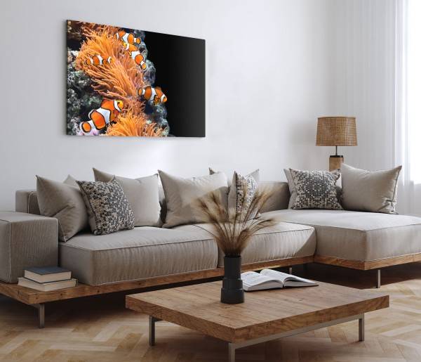 Paul Sinus Art 120x80cm Wandbild auf Leinwand Korallenriff Clownfische bunte Fische unter Wasser Zeitlich begrenztes Angebot