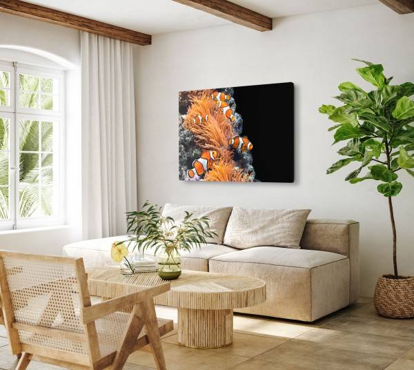 Paul Sinus Art 120x80cm Wandbild auf Leinwand Korallenriff Clownfische bunte Fische unter Wasser Zeitlich begrenztes Angebot
