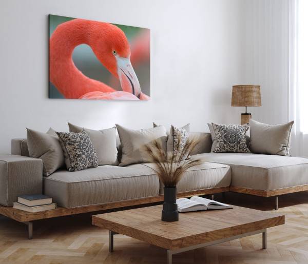 Paul Sinus Art 120x80cm Wandbild auf Leinwand Flamingo Tierfotografie Nahaufnahme Vogel Rot Räumungsverkauf