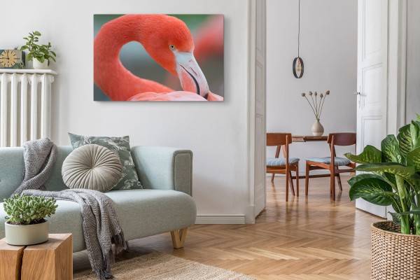 Paul Sinus Art 120x80cm Wandbild auf Leinwand Flamingo Tierfotografie Nahaufnahme Vogel Rot Räumungsverkauf