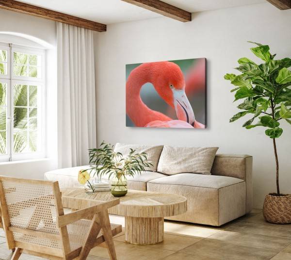 Paul Sinus Art 120x80cm Wandbild auf Leinwand Flamingo Tierfotografie Nahaufnahme Vogel Rot Räumungsverkauf