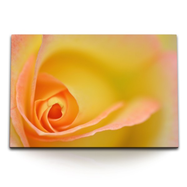 Paul Sinus Art 120x80cm Wandbild auf Leinwand Makrofotografie gelbe Blume Blüte Kunstvoll