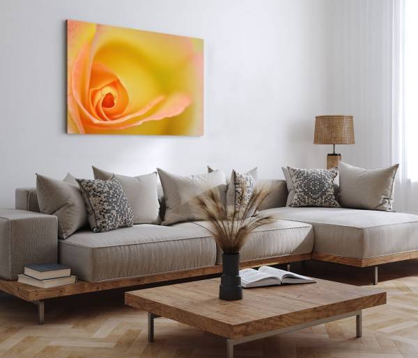 Paul Sinus Art 120x80cm Wandbild auf Leinwand Makrofotografie gelbe Blume Blüte Kunstvoll Kauf eins, bekomm eins gratis