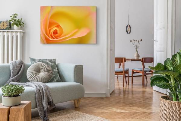 Paul Sinus Art 120x80cm Wandbild auf Leinwand Makrofotografie gelbe Blume Blüte Kunstvoll Kauf eins, bekomm eins gratis