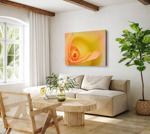 Paul Sinus Art 120x80cm Wandbild auf Leinwand Makrofotografie gelbe Blume Blüte Kunstvoll Kauf eins, bekomm eins gratis