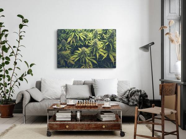 Paul Sinus Art 120x80cm Wandbild auf Leinwand Cannabis Cannabispflanze Grün Naturbild Pflanzenbild VIP-Rabatte