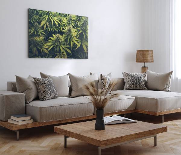 Paul Sinus Art 120x80cm Wandbild auf Leinwand Cannabis Cannabispflanze Grün Naturbild Pflanzenbild VIP-Rabatte