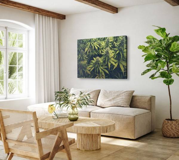 Paul Sinus Art 120x80cm Wandbild auf Leinwand Cannabis Cannabispflanze Grün Naturbild Pflanzenbild VIP-Rabatte