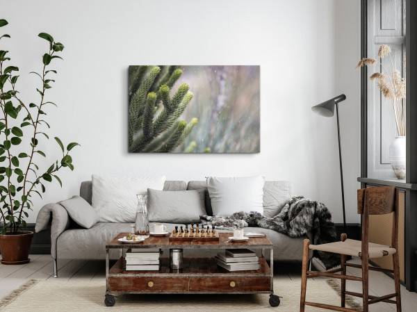 Paul Sinus Art 120x80cm Wandbild auf Leinwand Grüne Pflanze Zapfen Schnee Winter Natur Super Sparpreis