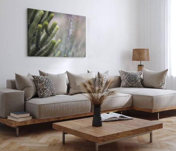 Paul Sinus Art 120x80cm Wandbild auf Leinwand Grüne Pflanze Zapfen Schnee Winter Natur Super Sparpreis