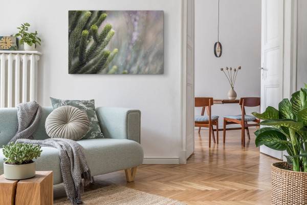 Paul Sinus Art 120x80cm Wandbild auf Leinwand Grüne Pflanze Zapfen Schnee Winter Natur Super Sparpreis