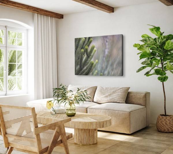 Paul Sinus Art 120x80cm Wandbild auf Leinwand Grüne Pflanze Zapfen Schnee Winter Natur Super Sparpreis