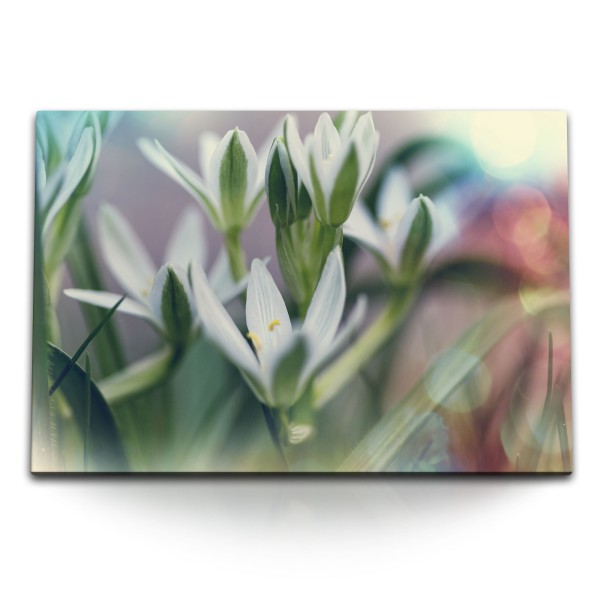 Paul Sinus Art 120x80cm Wandbild auf Leinwand Blumen Pflanzen Sommerblüte Grün Natur