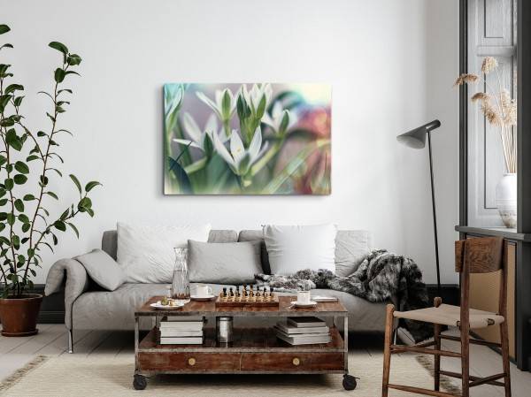 Paul Sinus Art 120x80cm Wandbild auf Leinwand Blumen Pflanzen Sommerblüte Grün Natur Wochenangebot