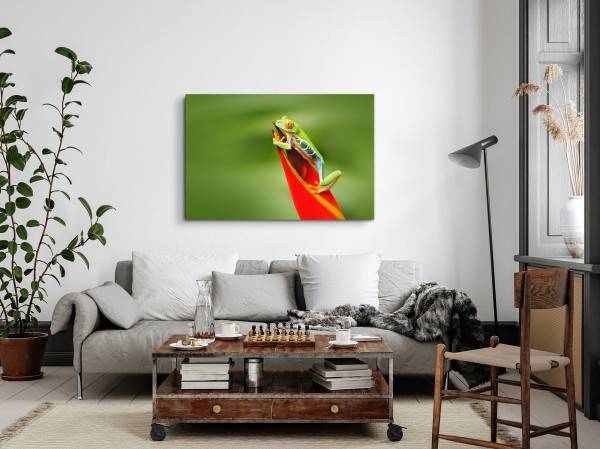 Paul Sinus Art 120x80cm Wandbild auf Leinwand Exotischer Frosch rote Pflanze Regenwald Grün Kostenlose Rückgabe