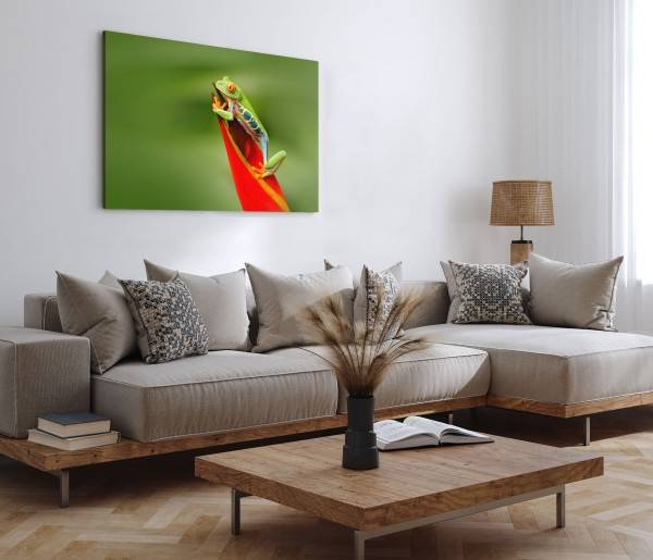 Paul Sinus Art 120x80cm Wandbild auf Leinwand Exotischer Frosch rote Pflanze Regenwald Grün Kostenlose Rückgabe