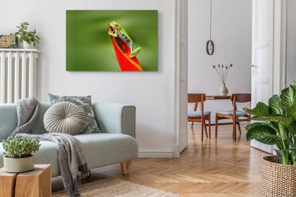 Paul Sinus Art 120x80cm Wandbild auf Leinwand Exotischer Frosch rote Pflanze Regenwald Grün Kostenlose Rückgabe