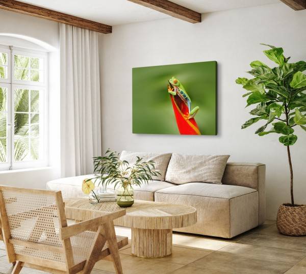 Paul Sinus Art 120x80cm Wandbild auf Leinwand Exotischer Frosch rote Pflanze Regenwald Grün Kostenlose Rückgabe